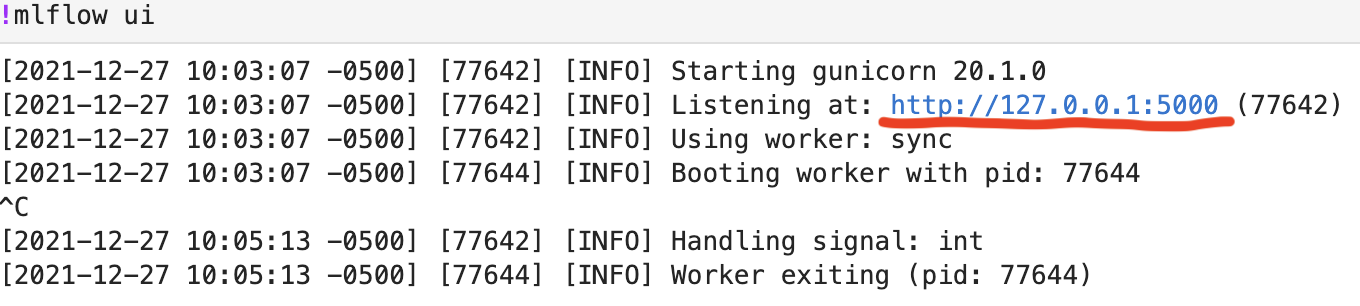 Launch MLflow UI