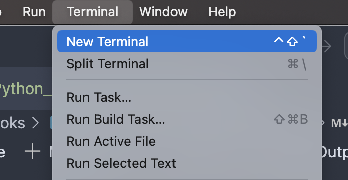 New Terminal